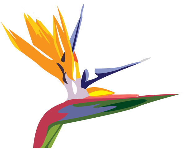 bird-logo-cf-1