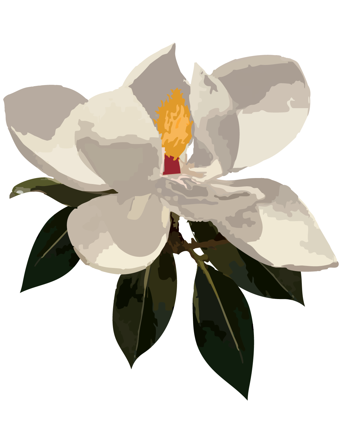 magnolia_draft